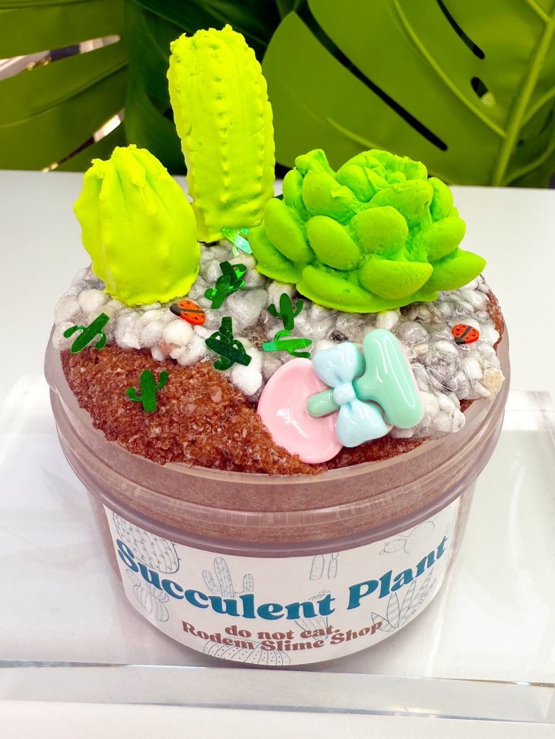 Succulent Plant Slime