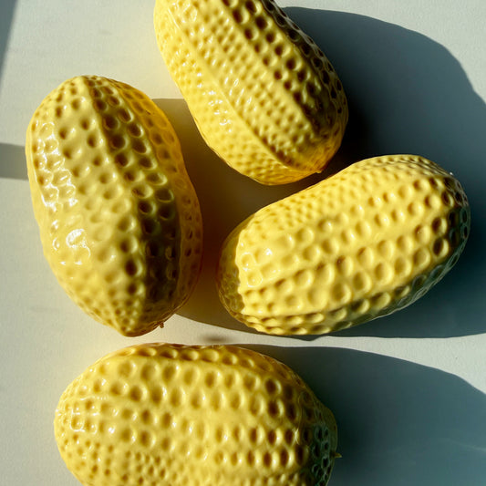 Peanut Crunch Squishy