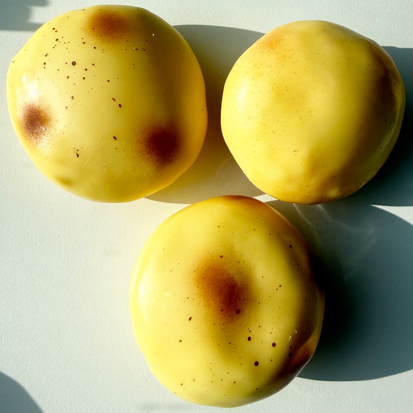 Potato Crunch Squishy
