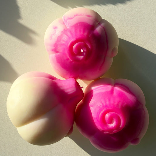 Garlic Squishy