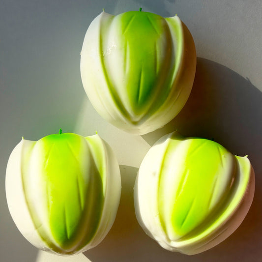 Pistachio Crunch Squishy
