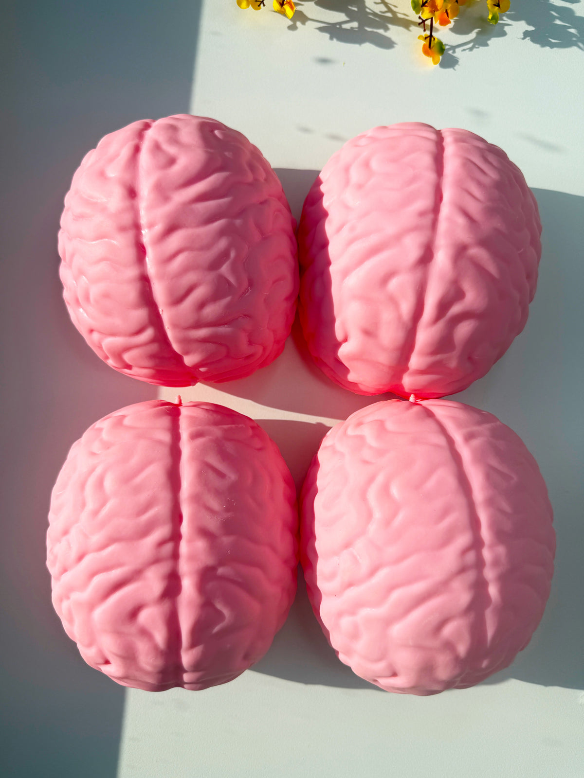 Brain Squishy
